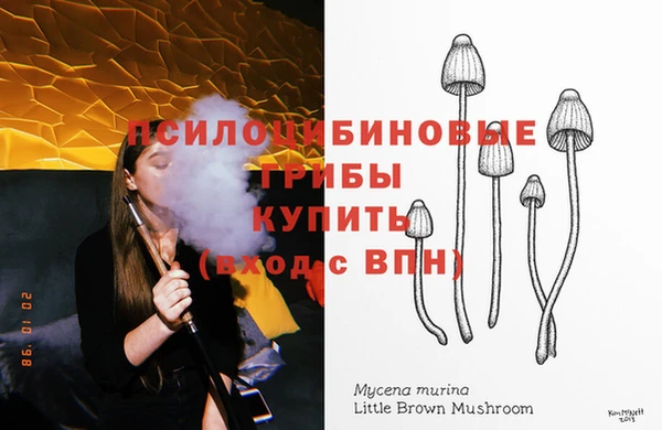 марки nbome Вяземский