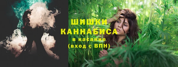 дживик Волосово